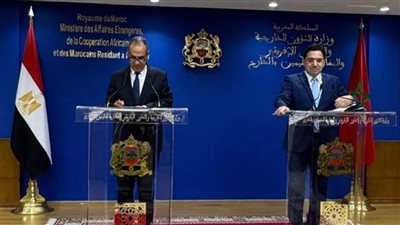 وزير الخارجية: مصر تدعم سيادة الدول ووحدتها الترابية