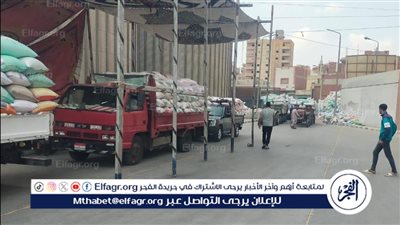 محافظ الدقهلية:توريد 263 ألف طن قمح محلي بمراكز التوريد والتخزين منذ بداية موسم الحصاد 