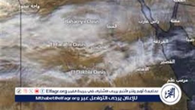 منار غانم..للفجر 