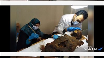 خبير مصري ينجح في ترميم باروكة شعر أثرية عمرها 3000 عام