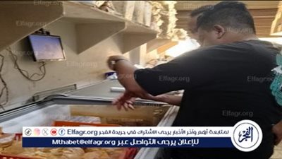 ضبط طن ونصف دواجن غير صالحة للاستهلاك الآدمي في القليوبية