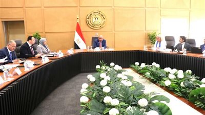 وزير الكهرباء يبحث مع وفد أوروبي تعزيز التعاون في الطاقة المتجددة