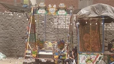 إصابة 3 أطفال إثر سقوط «مرجيحة» في قرية نواج بالغربية