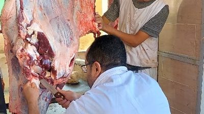 ذبح 2202 أضحية للمواطنين بمجازر الجيزة خلال اليوم الأول والثاني لعيد الأضحى