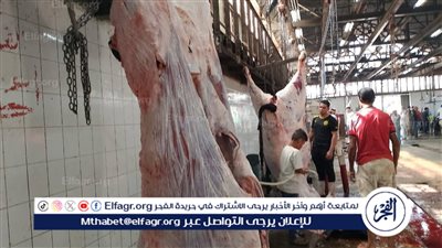 الزراعة: خدمات مجانية ومتابعة بيطرية دقيقة قبل ذبح الأضاحي في ثاني أيام العيد 