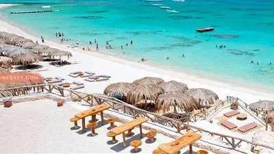 وزارة السياحة والآثار: تشكيل غرفة عمليات بالإدارة المركزية لشركات السياحة خلال أجازة عيد الأضحى المبارك 