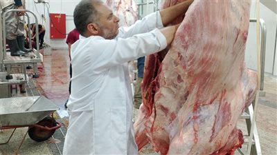 محافظ الدقهلية: المجازر الحكومية تواصل أعمال الكشف وذبح الأضاحي على مدار اليوم