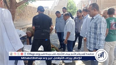 يُزيلون التعديات.. حملة موسعة لإعادة الانضباط إلى شوارع قنا