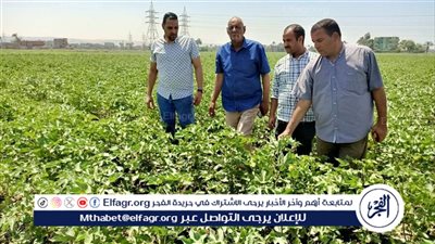 وكيل زراعة أسيوط يتفقد الزراعات الصيفية بمركزى أسيوط وأبوتيج