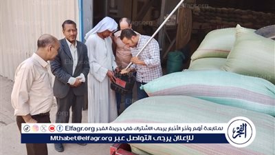 عام توريد استثنائي.. المنيا تتخطى المستهدف من محصول القمح بنسبة 131%