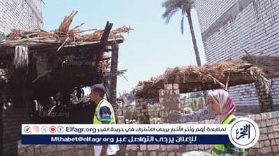 محافظ المنيا: توزيع لحوم 186 أضحية على 131 ألف أسرة بالتعاون مع “مصر الخير”