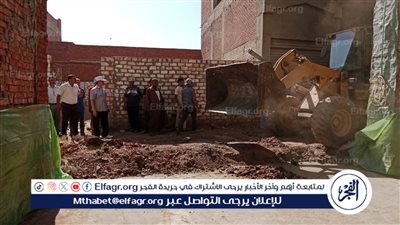 إزالة 40 تعديًا على أراضي الدولة والزراعة بالدقهلية في أول أيام الموجة 26