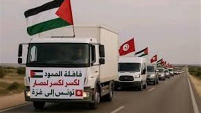 لكسر الحصار.. التفاصيل الكاملة حول قافلة صمود