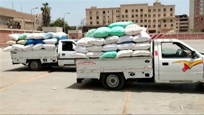 منذ بداية الحصاد...صوامع وشون الشرقية تستقبل 594731 و749 كيلو من الأقماح المحلية