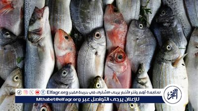 تعرف على أسعار الأسماك اليوم الأربعاء الموافق 11-6-2025 فى سوهاج