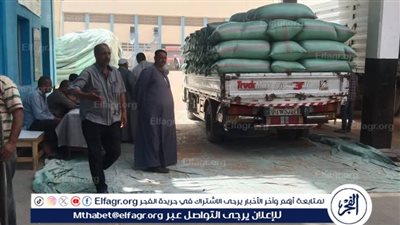 محافظ المنيا: استمرار أعمال توريد القمح بتوريد 506 آلاف طن قمح منذ بدء موسم 2025
