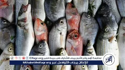 تعرف على أسعار الأسماك اليوم الخميس الموافق 12-6-2025 فى سوهاج