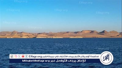 الري: ورد النيل يغطي 3% فقط من المسطحات المائية وحملات مستمرة للسيطرة عليه(فيديو)