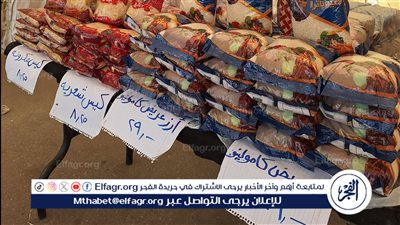 محافظ الدقهلية: يؤكد على استمرار انطلاق أسواق اليوم الواحد الجمعة والسبت كل أسبوع 