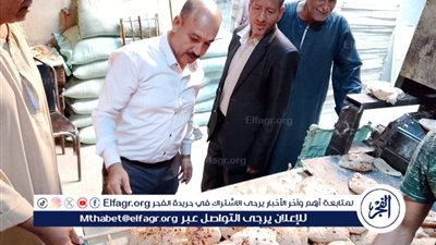 محافظ المنيا: ضبط 167 مخالفة تموينية بمخابز ملوي خلال حملات تفتيشية مكثفة