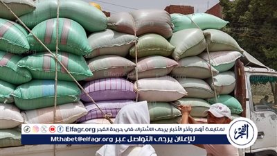 استمرار أعمال توريد القمح بتوريد 508 آلاف طن قمح منذ بدء موسم 2025 بالمنيا