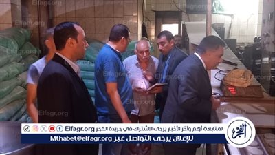 جولة مفاجئة لمحافظ الدقهلية بعدد من المخابز في دكرنس ومنية النصر: ضبط نقص بوزن الرغيف وعدم مطابقة للمواصفات