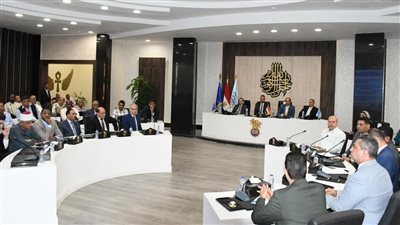 محافظ أسوان ومدير صندوق مكافحة الإدمان يشهدان فعاليات المبادرة المحلية 