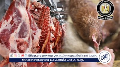 عاجل- الحكومة تكشف الحقيقة: «لا نقص في الأعلاف».. وأسواق الدواجن واللحوم مستقرة بالكامل
