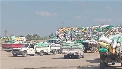 شون وصوامع الشرقية تنتهي من توريد 598251 طن و773 كيلو قمح محلي