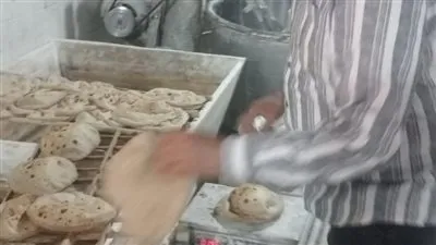 حملة تموينية مكبرة بالغربية تضبط 37 مخالفة متنوعة خلال 24 ساعة