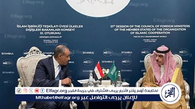 وزير الخارجية يلتقي بنظيره السعودي عقب اجتماعات منظمة التعاون الإسلامي في أسطنبول