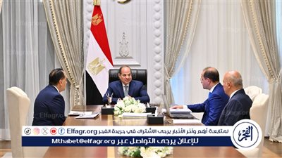 عاجل| السيسي يُصدر توجيهات جديدة لوزير المالية 
