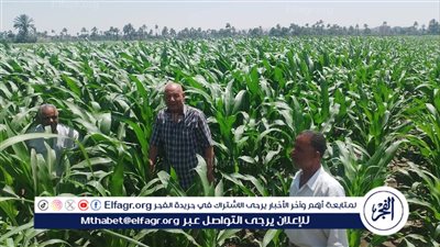 وكيل زراعة أسيوط يتفقد زراعات المحاصيل الزراعية بقرى مركز الفتح