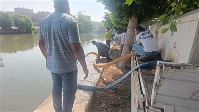 محافظ الشرقية يُعلن إستزراع 3 مليون زريعة أسماك مبروك بصان الحجر وببحر أبو الأخضر