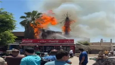 السيطرة على حريق اندلع في مجموعة أشجار بأرض المحلج في المحلة