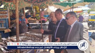 محافظ الدقهلية: ضبط 6 طن من المواد الغذائية المتنوعة غير مطابقة للمواصفات بجمصه