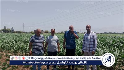 وكيل زراعة أسيوط يتابع زراعات المحاصيل الصيفية بمركز أبنوب