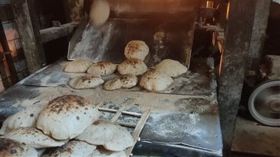 ضبط اصحاب 6 مخابز بالغربية استولوا على 42 جوال دقيق مدعم بالغربية