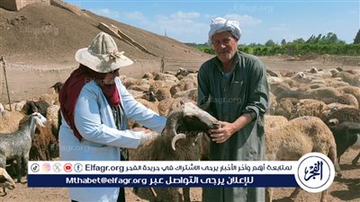 مصر تدشن أكبر مجمع لإنتاج اللقاحات البيطرية في الشرق الأوسط وإفريقيا بالصالحية الجديدة