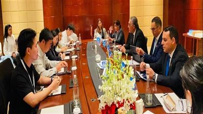 الخطيب: صناعة البتروكيماويات من الركائز الاستراتيجية للصناعة المصرية