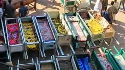 100 ألف جنيه لكل وفاة.. طرق صرف تعويضات ضحايا حادث المنوفية