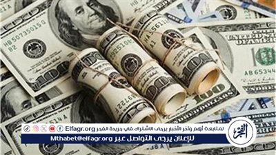 استقرار نسبي في سعر الدولار أمام الجنيه المصري اليوم الإثنين 30 يونيو 2025