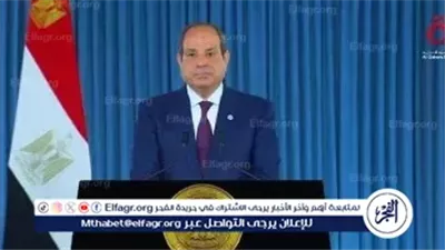 الرئيس السيسي: المصريون كسروا موجات الفوضى وأسّسوا لبنية تحتية قوية لمستقبل واعد