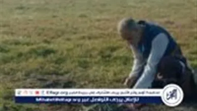 محمود البزاوي يشعل السوشيال ميديا بعد مشهد المومياء في مسلسل 