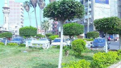 محافظ الغربية:حملات شاملة للنظافة والتشجير لتحسين البيئة