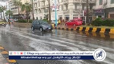 هل تتكرر ظاهرة هطول الأمطار في يوليو ؟.. خبير بيئي يوضح