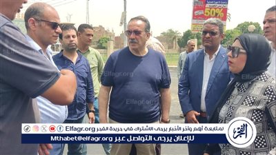 محافظ أسيوط يتفقد أعمال الرصف بأبنوب بتكلفة 28 مليون جنيه 