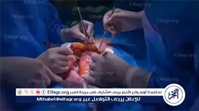 لأول مرة.. زراعة قلب بشري نابض في جنين خنزير يعيش 21 يومًا فقط