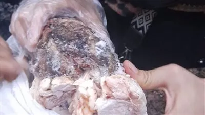 تموين الغربية: ضبط 38 مخالفة تموينية متنوعة خلال 24 ساعه