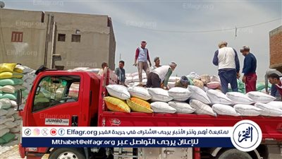 تموين الأقصر.. توريد أكثر من 25000 طن من الأقماح المحلية فى مركزى أرمنت واسنا